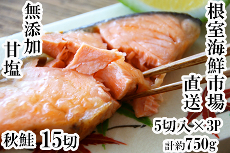 YÉVRH5ؓ×3P(v15؁A750g) G-11038