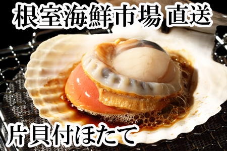 根室海鮮市場[直送]片貝ほたて10枚