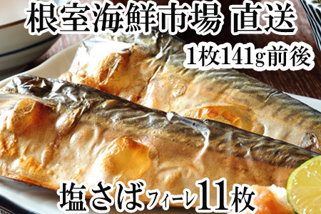 yNzzCNsꁃ΃tB[11×1P(v1.5kg) G-28021