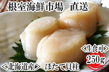 根室海鮮市場＜直送＞刺身用ほたて貝柱250g G-28052