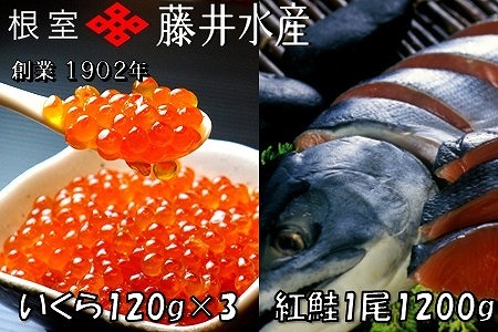 yNzzӂgV1.2kgAݖЂ120g×3P F-42004