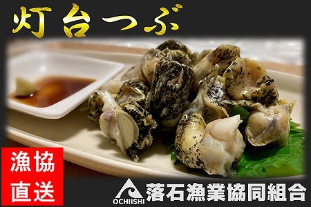 [北海道根室産]灯台つぶ200g×2P(計400g)