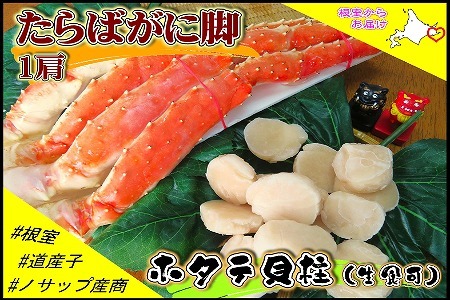 yNzz{CⓀ΂ɋr1(900g)EⓀz^eL1.2kgZbg D-59039