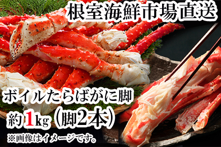 yNzzCNsꁃ{C΂ɋr1kg(r2{VN) C-28057