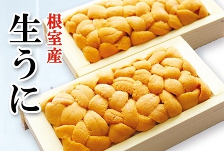 �y�k�C�������Y�z�G�]�o�t���E�j100g×2�� E-71041