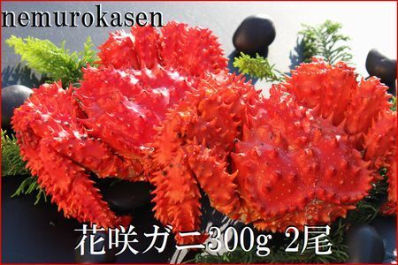 【北海道根室産】花咲ガニ300g×2尾 A-57060