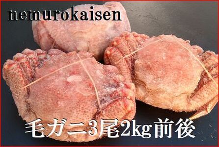 [1221ϕ܂ŔNz]ykCYzт3(v2kgO) E-57007