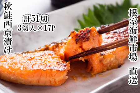 VRHЂ3ؐ^×17P(v51) B-14117