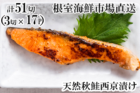 VRHЂ3ؐ^×17P(v51) B-11115