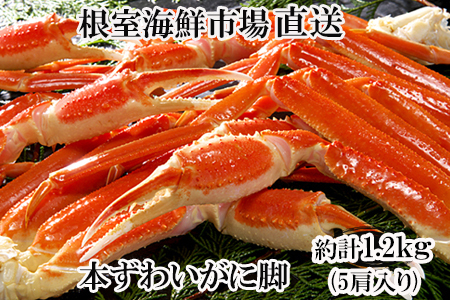 [12月10日決済分まで年内配送]ボイル本ずわいがに脚5肩(計約1.2kg) A-14261