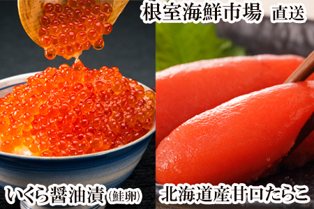 CNsꁃݖЂ()70g×1PAÌ炱200g×1P G-28062