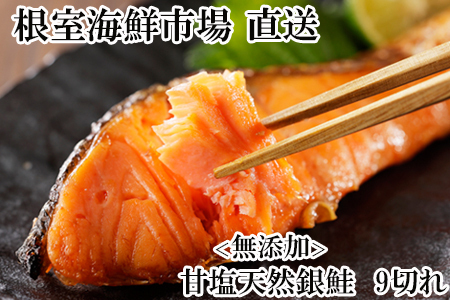 無添加天然銀鮭切身9切 G-28075