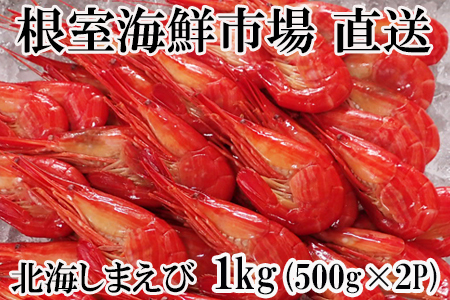 kC܂500g×2P B-11118