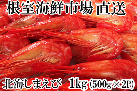 yNzΉzkC܂500g×2P B-14120