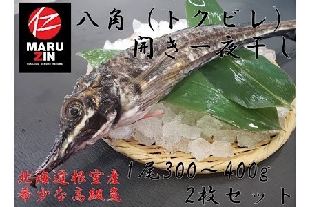[12月21日決済分まで年内配送][北海道根室産]八角開き一夜干し1枚×2P
