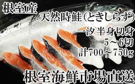 [北海道根室産]根室海鮮市場[直送]無添加天然時鮭(トキシラズ)半身分切身(5〜6切)