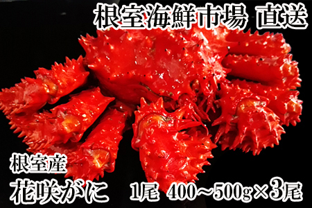 ykCYzԍKj400`500g×3 B-11119