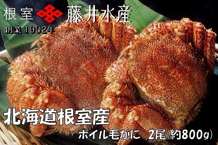 [1221ϕ܂ŔNz]ykCYz{Cт2(v800g) F-42016