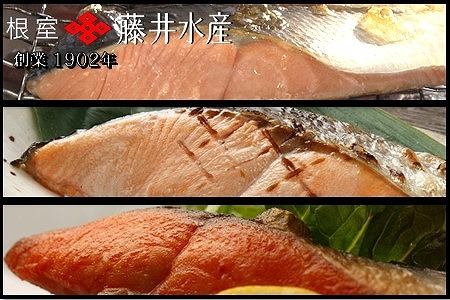 [12月21日決済分まで年内配送]焼き魚切身食べ比べセット