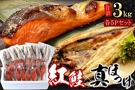 [1221ϕ܂ŔNz]gؐg20؁E^قJ5Zbg(e1.5kg) B-07036