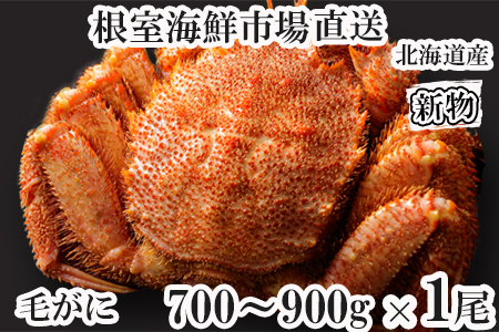 [1210ϕ܂ŔNz]{Cт700`900g×1 C-11059