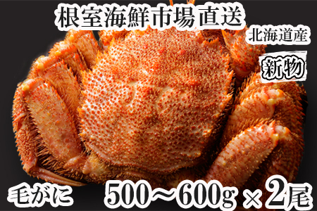 {Cт500`600g×2 F-11030