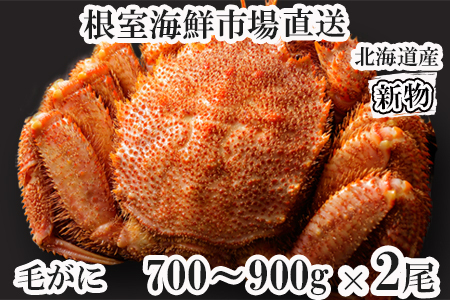 {Cт700`900g×2 D-11054