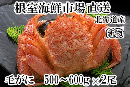 [1210ϕ܂ŔNz]{Cт500`600g×2 F-14030