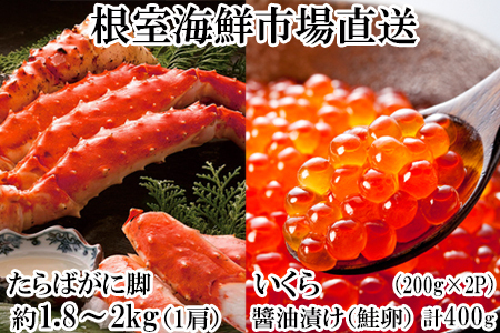 yNzz{C΂ɋr1.8`2kg×1AݖЂ()200g×2P D-14059