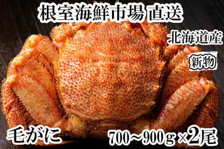CNsꁃ{Cт700`900g×2 D-28055