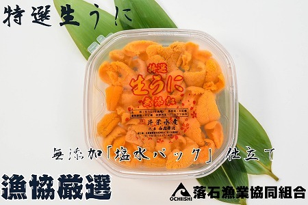 無添加エゾバフンウニ塩水パック100g×2P F-20011