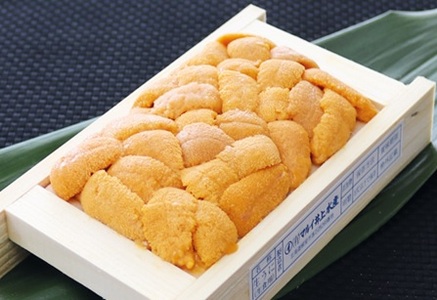 G]otEj(Ԍn)50`60g×1[10{ȍ~] G-53001