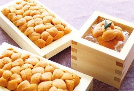 G]otEj90`100g×2[2026N2{ȍ~] C-40030