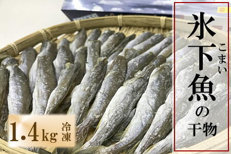 [北海道根室産]生干しこまい 1.4kg