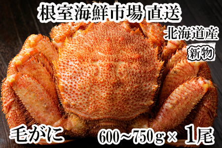 [1210ϕ܂ŔNz]CNsꁃ{Cт600`750g×1 B-28124