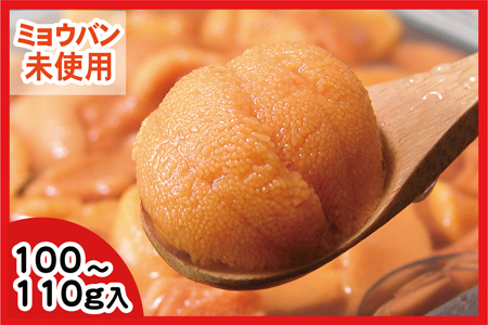 エゾバフンウニ(黄色)塩水パック100～110g×1P[2026年1月下旬以降発送] C-56019