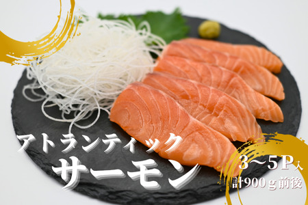 yNzzHAgeBbNT[3`5P(v900gO) A-81023