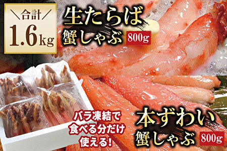 yNzzyHz΁E{킢_ge800g(v1.6kg) D-56020