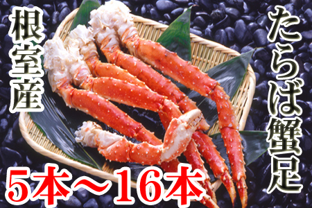 [1221ϕ܂ŔNz]ykCYz{CΊI5`16{(v1`1.2kg) C-36080