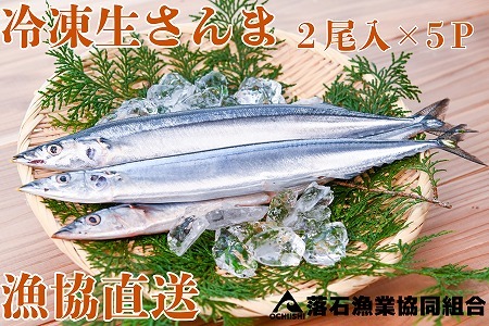 [12月14日決済分まで年内配送][北海道根室産]冷凍生さんま2尾×5P