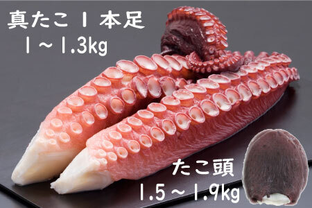 [12月21日決済分まで年内配送]【北海道根室産】真たこ足1～1.3kg・たこ頭1.5～1.9kgセット F-19002