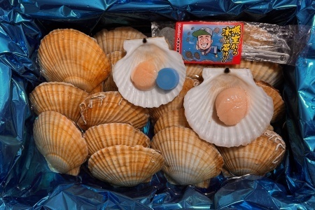 [1221ϕ܂ŔNz]ykCYzz^eL20(v3.5kg`4kg) B-45016