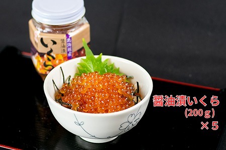 [1210ϕ܂ŔNz]ykCYzr200g×5{ D-66020