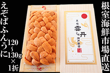 �G�]�o�t���E�j�i���n�j120�`130��×1�܁y2026�N1�����{�ȍ~�����z B-14125