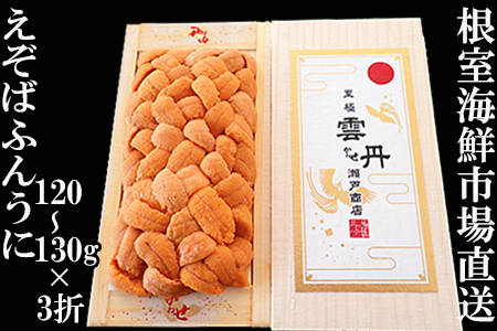 �G�]�o�t���E�j�i���n�j120�`130��×3�܁y2026�N1�����{�ȍ~�����z D-14064