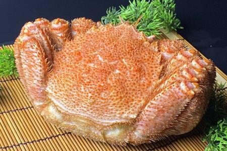 [12��21�����ϕ��܂ŔN���z��]�т���800g�O��×1�� C-21009