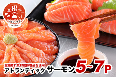 �y���H�z�A�g�����e�B�b�N�T�[����5�`7P(�v1.5kg�j B-24021