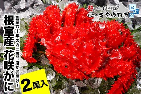 【北海道根室産】花咲がに550g～650g前後×2尾 A-25026