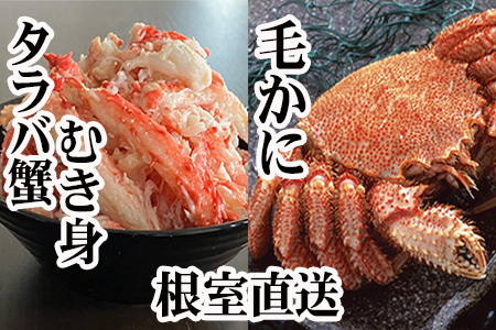 [12��21�����ϕ��܂ŔN���z��]�т��ɁE�^���o�K�j�ނ��g C-36084