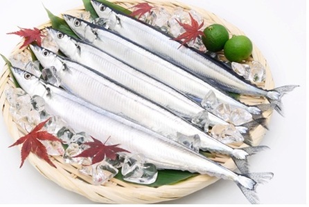 [12月14日決済分まで年内配送][北海道根室産]冷凍生サンマ20尾(真空パック5尾入×4P)